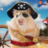 Telegram channel hamsterdaochat